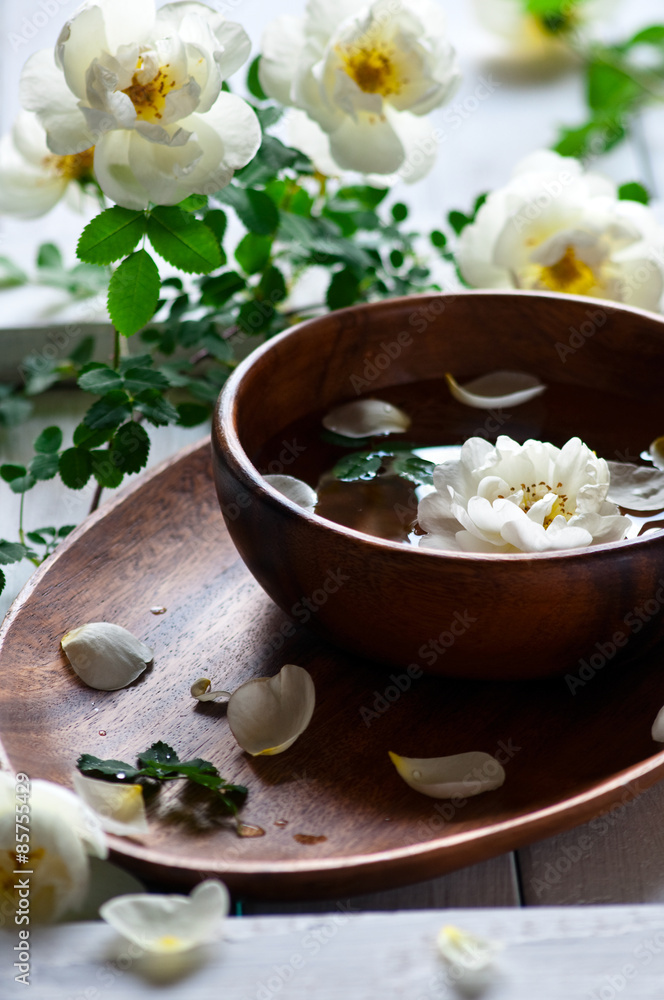 spa concept spa concept