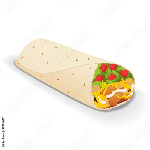 an isolated tasty burrito on a white background