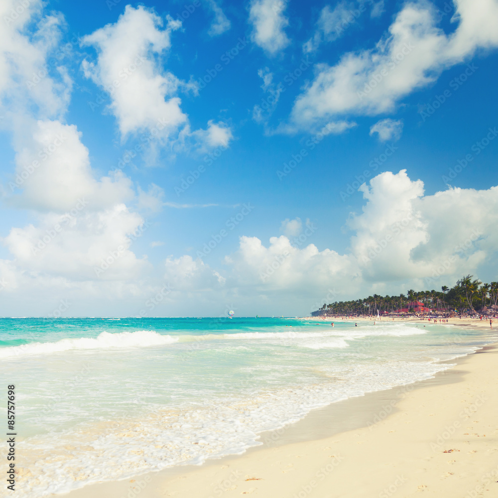 Beach on the Atlantic ocean, Dominican republic