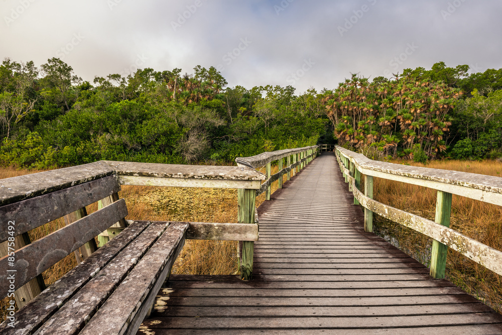 Bench and a boardwalk in the wetlands of Everglades National Par