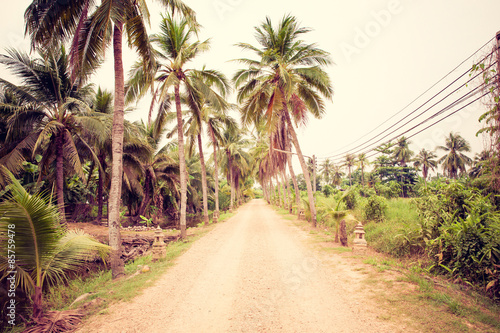 Rural way in local of Thailand. Vintage filter.