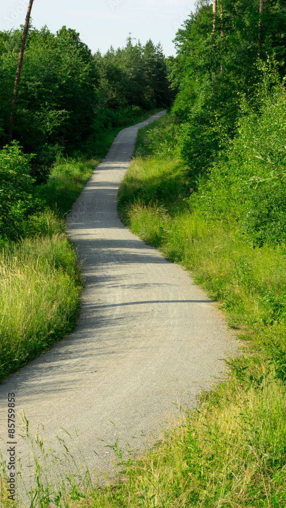 Long curvy lane