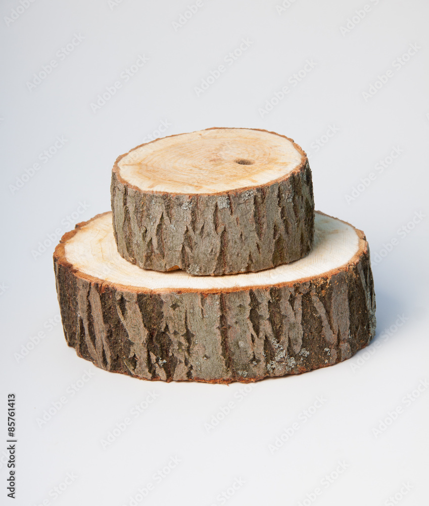 Cross sections of tree trunk on white background Cross sections of tree trunk on white background
