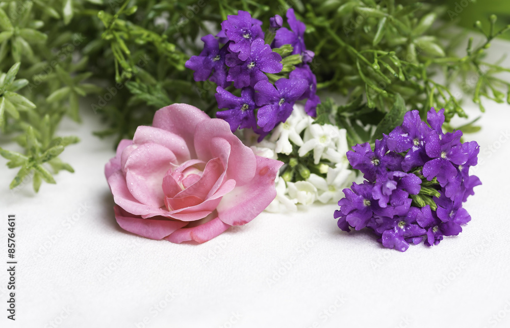 Rosen und Verbeten auf weißem Leinen Rosen und Verbeten auf weißem Leinen