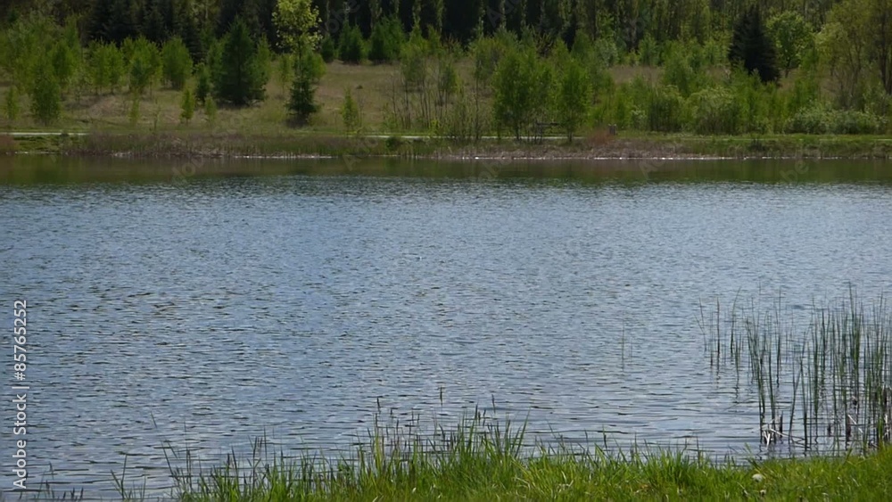 Lake surface Lake surface