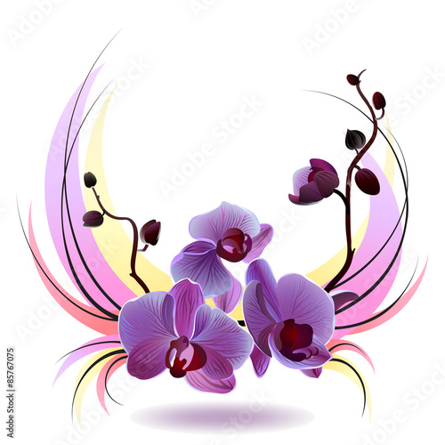 Fototapeta Naklejka Na Ścianę i Meble -  Vector greeting card with orchids bouquet