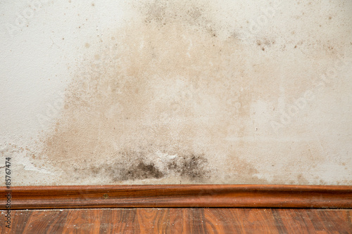 Black mould buildup in the corner of an old house photo