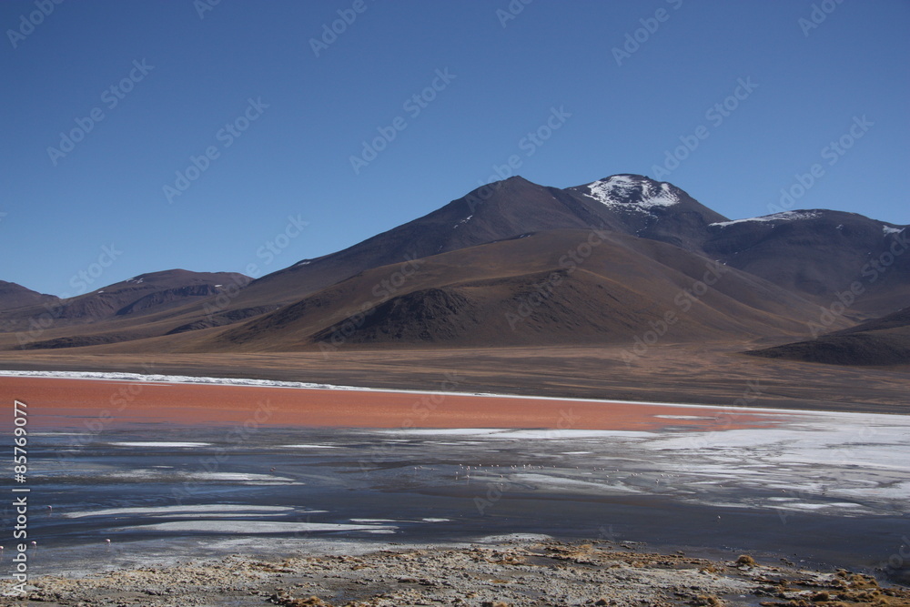 Laguna Colorada with a volcano behind the lake, Bolivia, South America