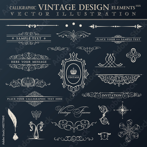 Vector vintage set. Calligraphic elements and page decoration pr