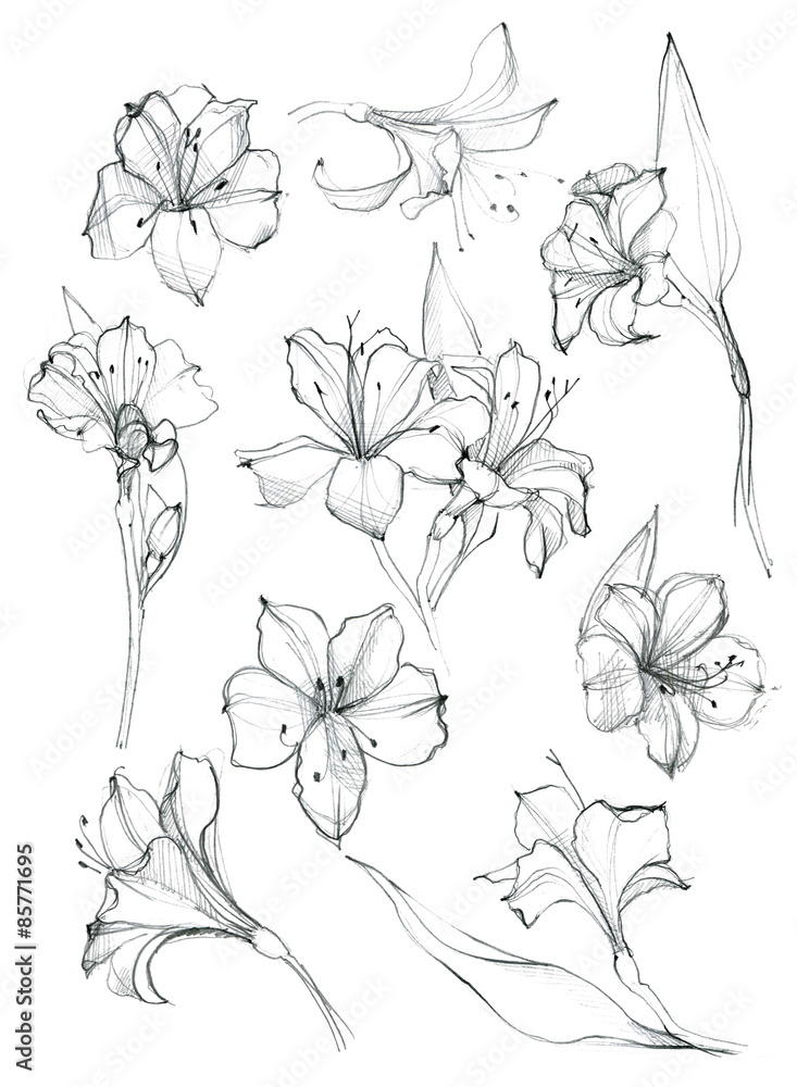 Hand-drawn floral pattern Hand-drawn floral pattern