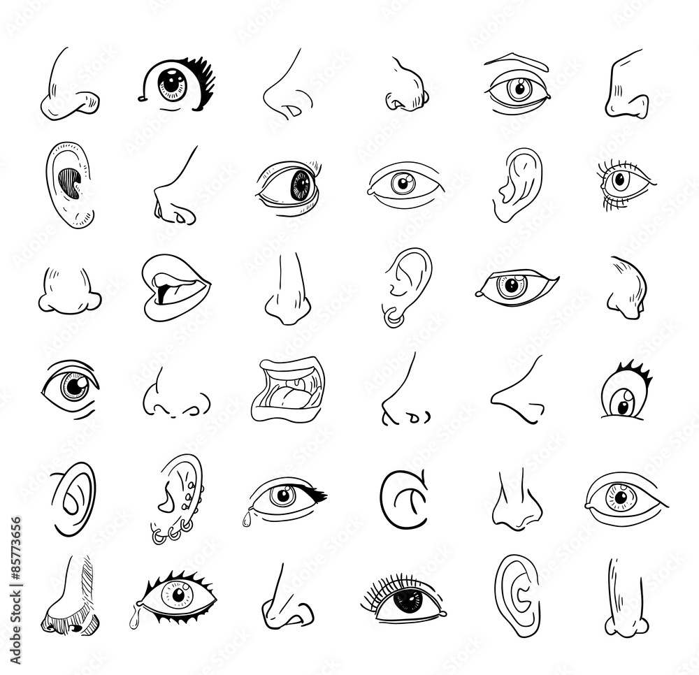 eye nose ear and mouth collection in different expressions. vector icon