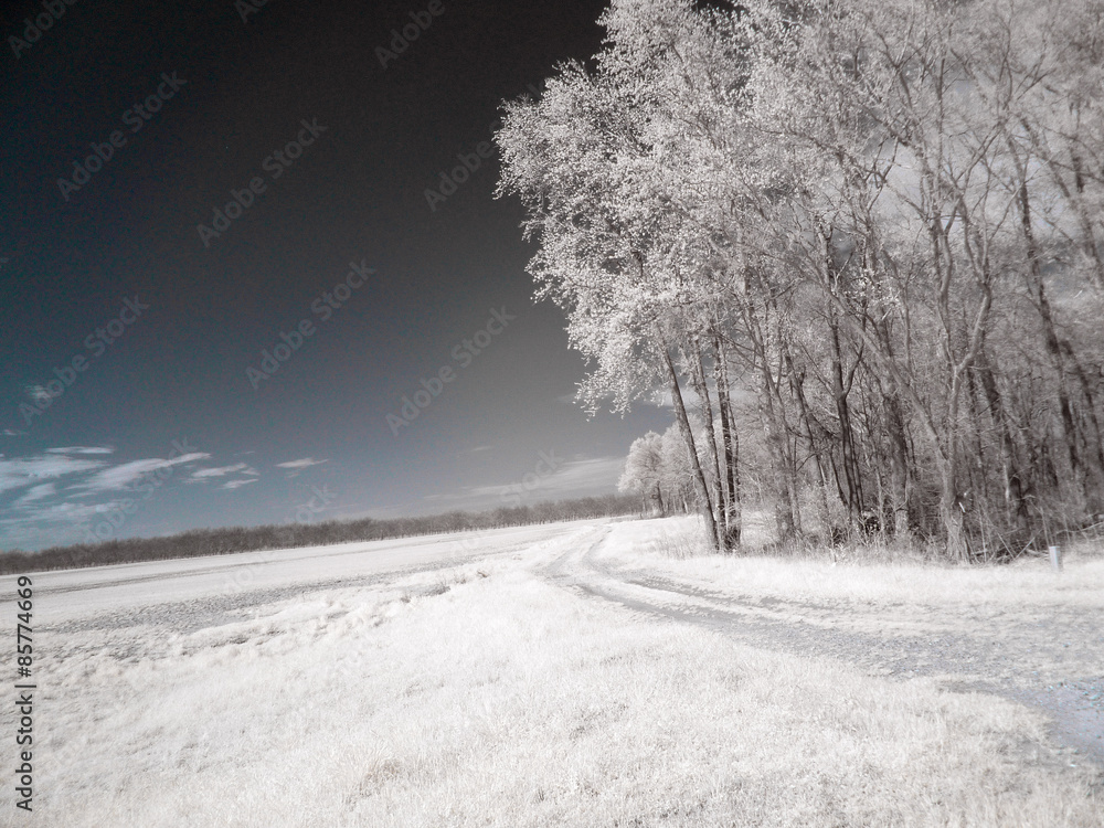 Fototapeta premium arkansas delta