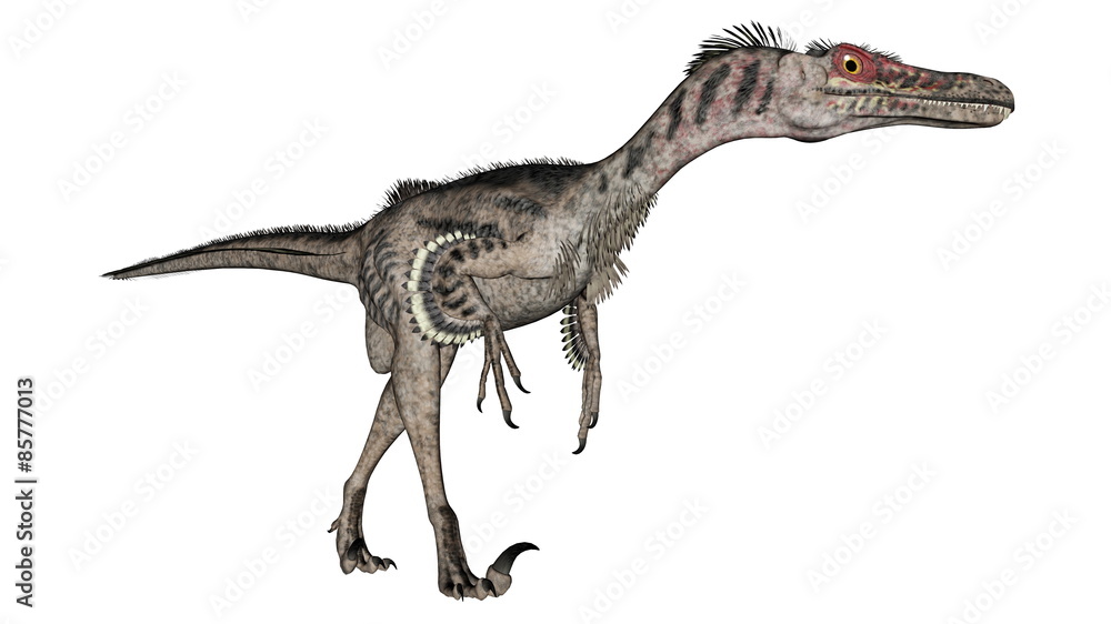Velociraptor dinosaur - 3D render Velociraptor dinosaur - 3D render