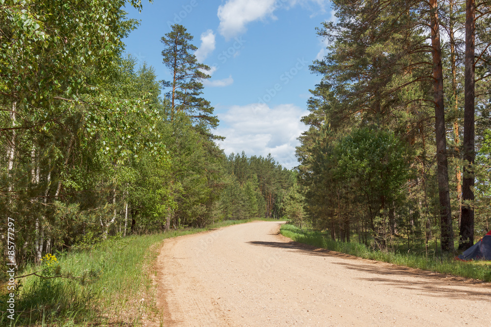 Summer landscape with grant covering road in the woods on a sunny day Summer landscape with grant covering road in the woods on a sunny day