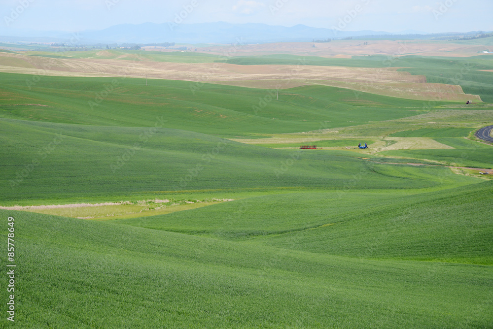 farm hill in washington farm hill in washington