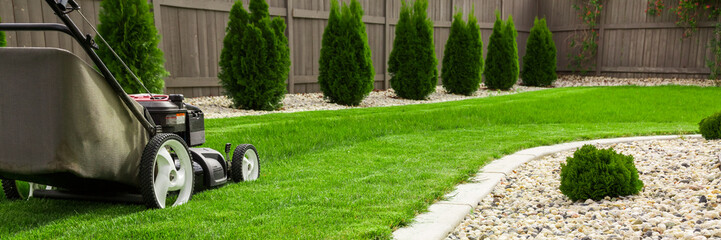 Lawn mower cutting green grass in backyard, mowing lawn