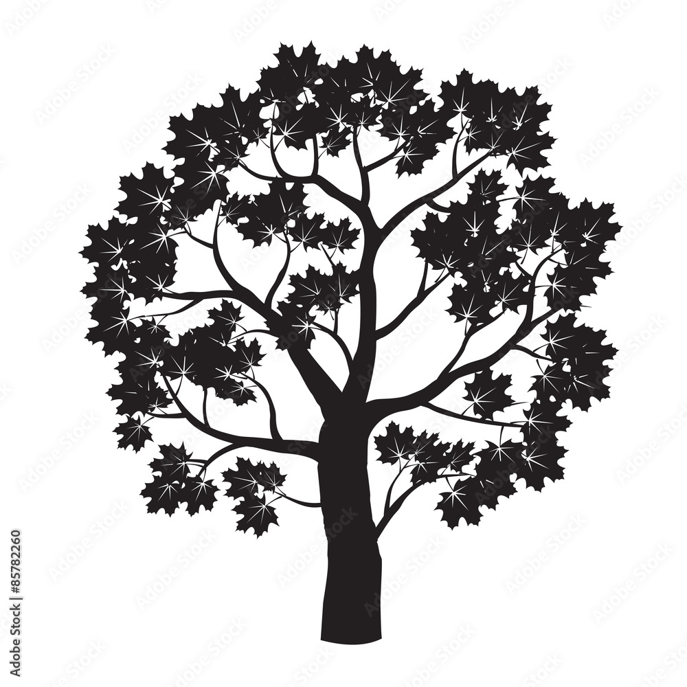 Black Maple Tree. Vector Illustration.
