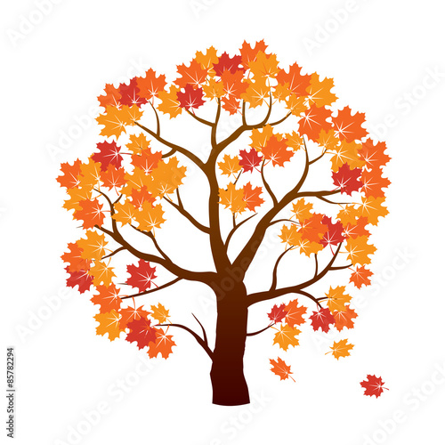 Color Autumn Maple Tree. Vector Illustration.