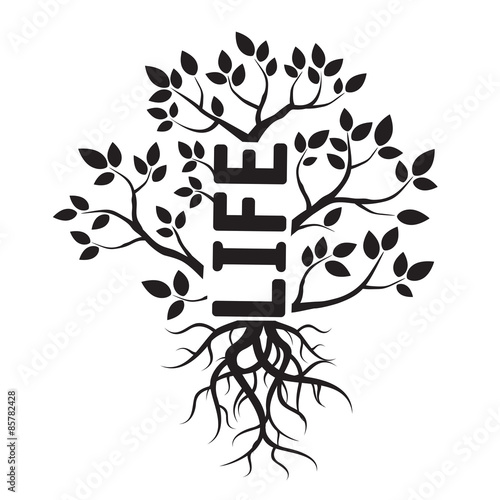 Photography Black vector tree, leafs, roots, and text LIFE
