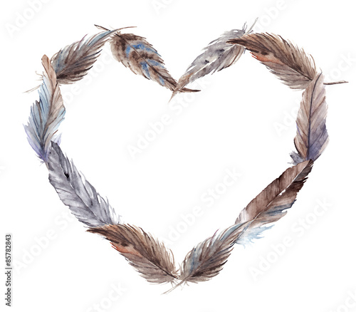Watercolor vector feather heart isolated