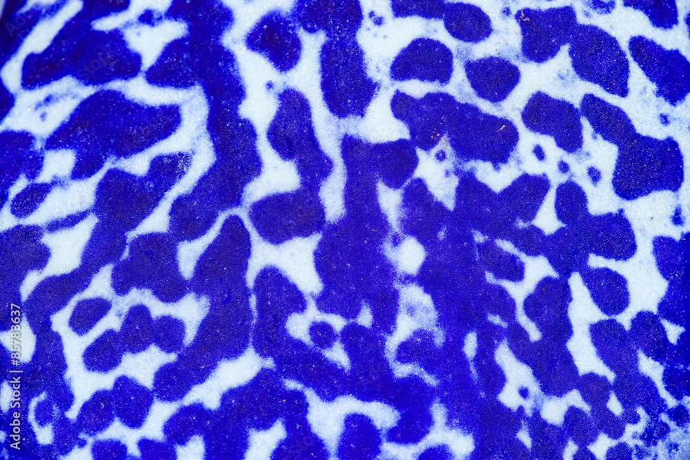 Orchid flowers texture,Petal texture Orchid flowers texture,Petal texture
