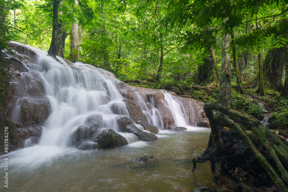 Obraz premium beautiful waterfall in forest