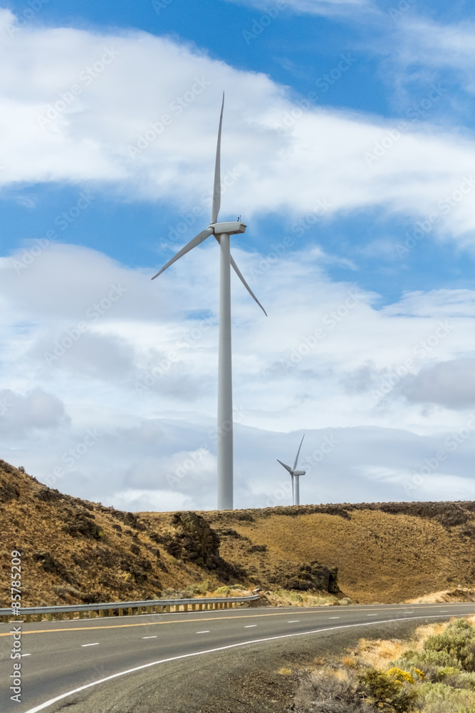 Modern windmill farms harvest energy through wind power