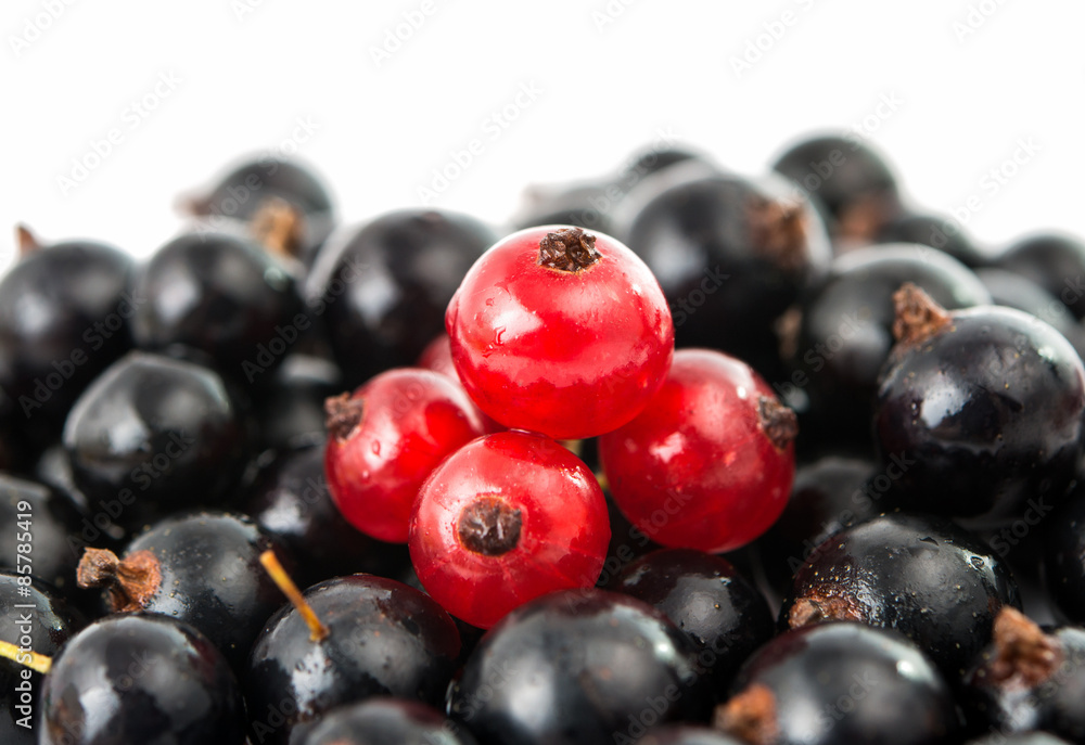 currants