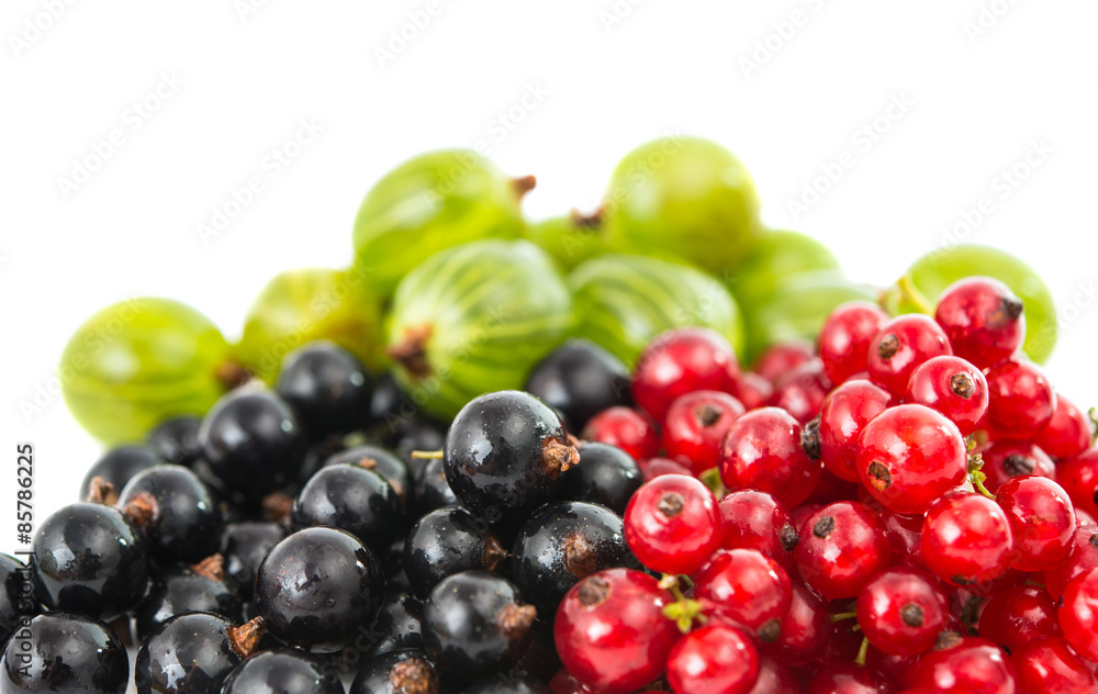 currants currants