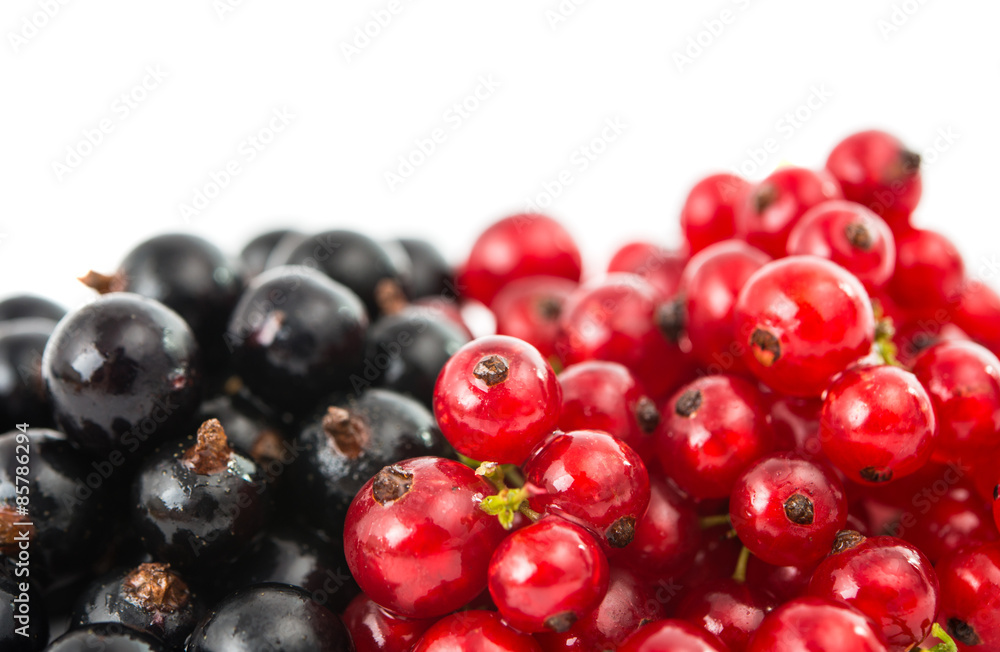 currants currants