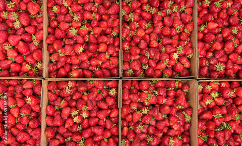 Boxes of freshly picked strawberries for healthy living 
