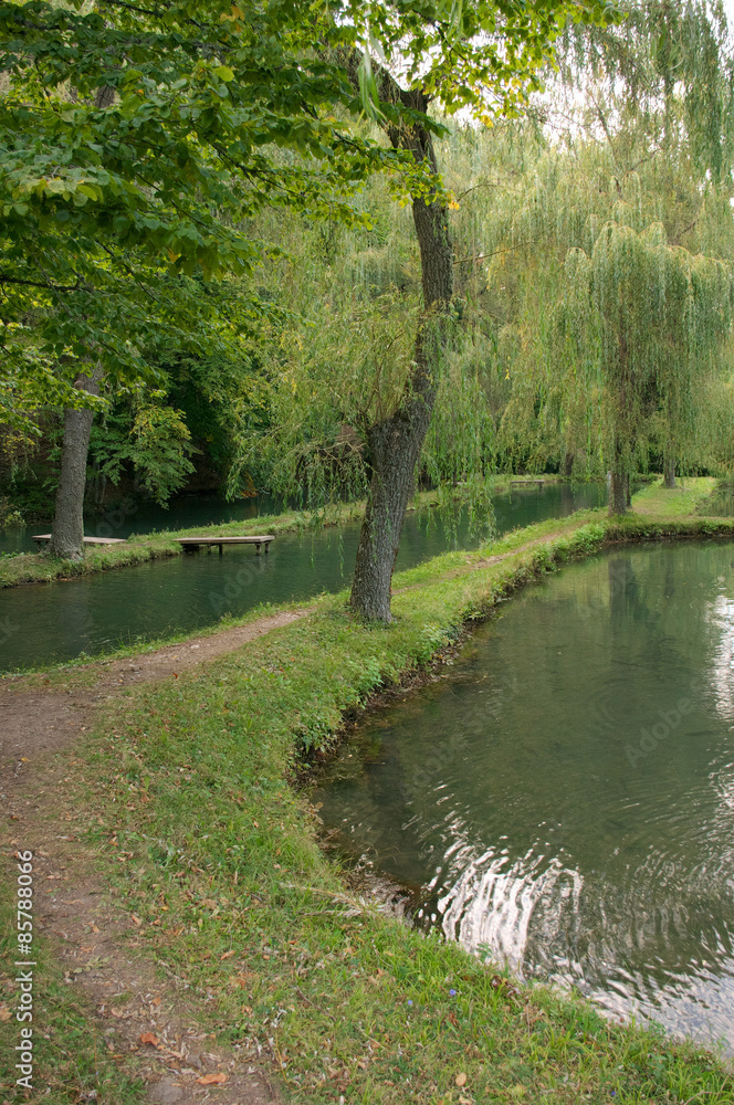 Calm pond Calm pond