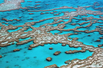 Fotobehang Australië Great Barrier Reef vanuit de lucht  © norinori303