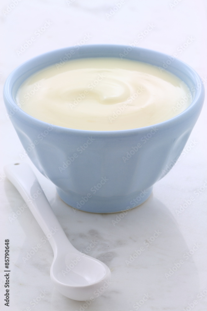 Fresh plain yogurt Fresh plain yogurt