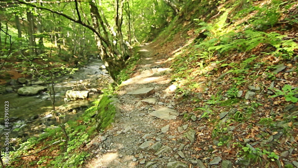 Walking on mountain forest path Steadicam Shot, personal perspective of view, POV Walking on mountain forest path Steadicam Shot, personal perspective of view, POV