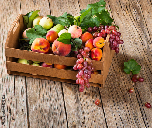Assortment of fruits in a box