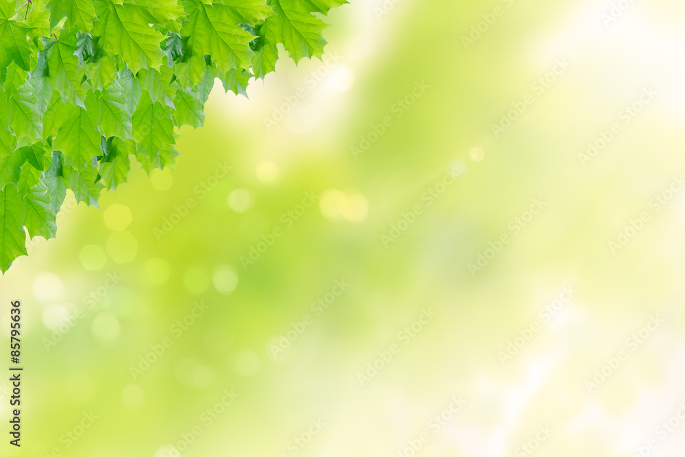 Obraz premium Nutur Hintergrund