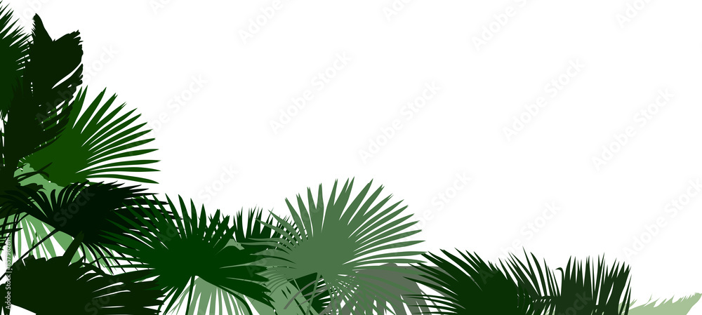 corner from green palm tree leaves