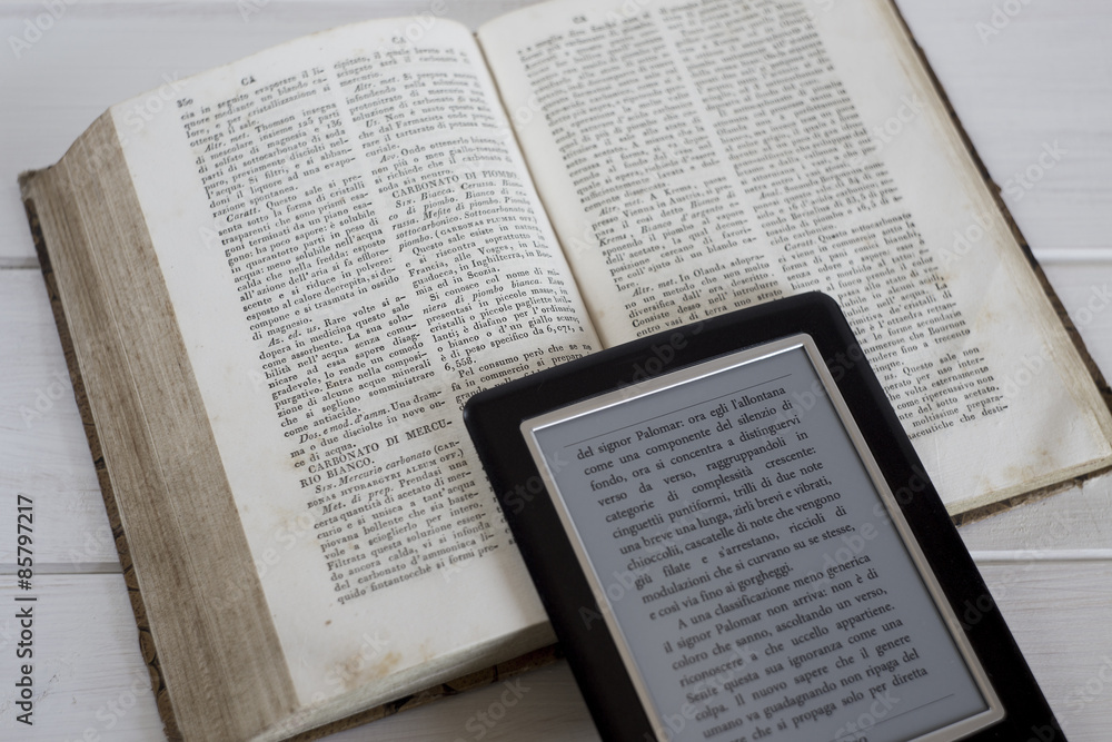 Fototapeta premium book and ebook reader