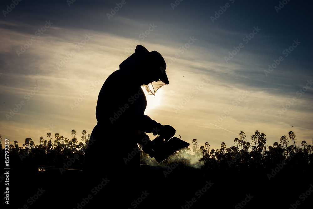 Working apiarist silhouette