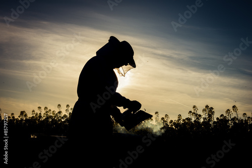 Принти на полотні Working apiarist silhouette