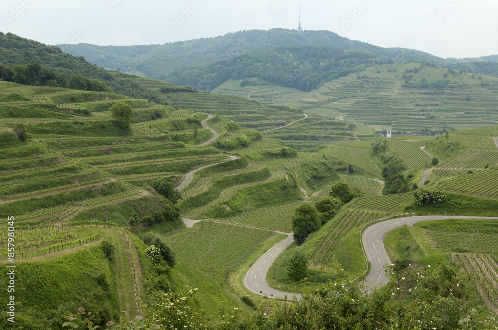 Weinterrassen, Weinanbaugebiet, Weinberg, Terrassen, Kaiserstuhl