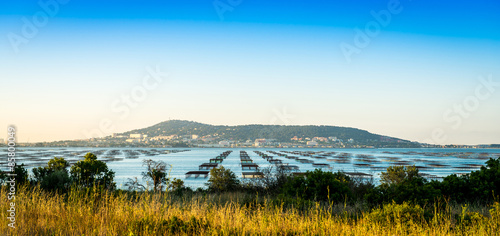 Canvas Print Lever de soleil sur le bassin de Thau