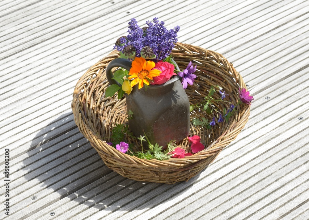 Sommerblumen blühen Sommerblumen blühen