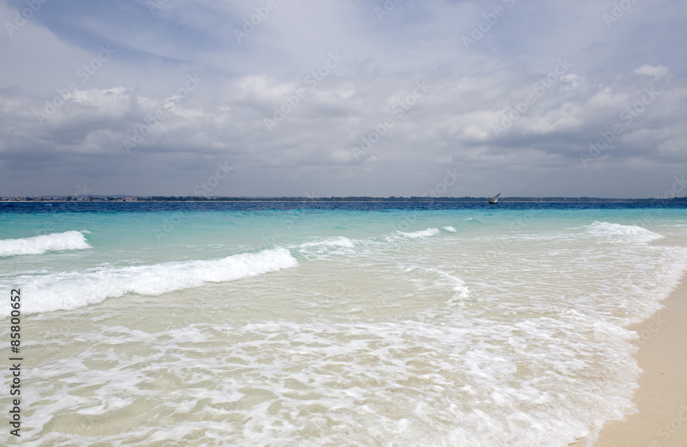 Zanzibar, western coast, a beach of Prison island Zanzibar, western coast, a beach of Prison island