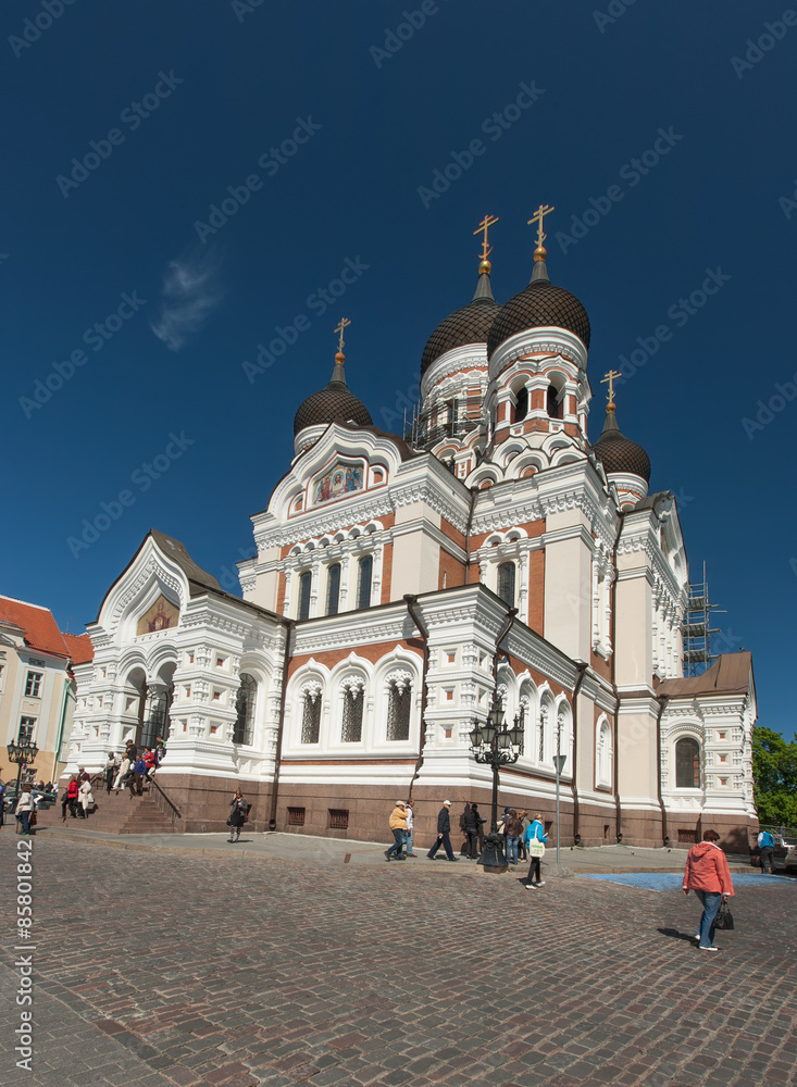 Fototapeta premium Tallinn Capital of Estonia Eesti