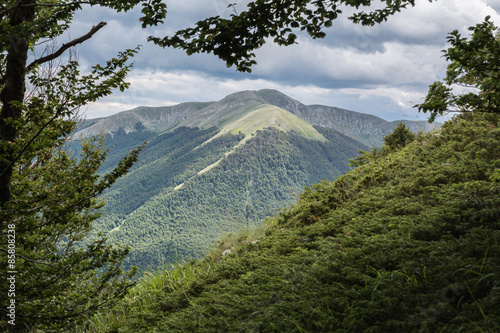 Fotografie Parco Nazionale d'Abruzzo Lazio e Molise
