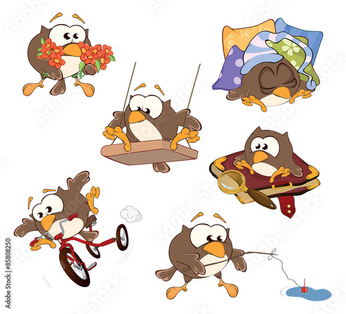 Set of cute owls for you design. Cartoon 