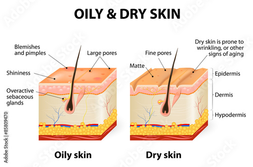 Oily & dry skin