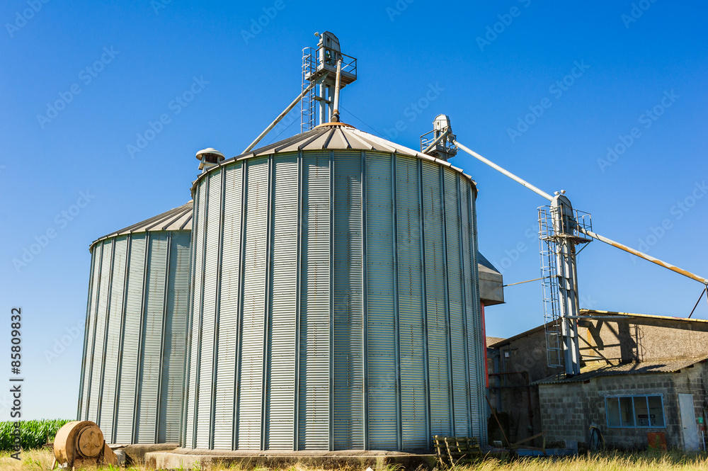 Obraz premium Storage facility cereals.